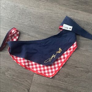 🐾 Dolly Parton Pet Bandana